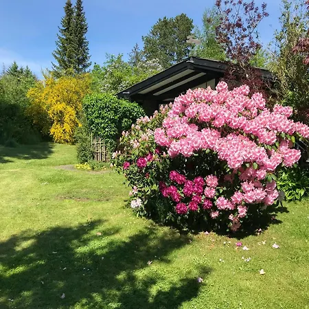 Summer House In With Meadow View